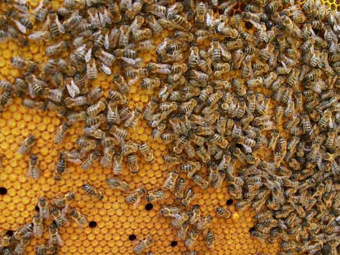 Mesindustund õpilastele